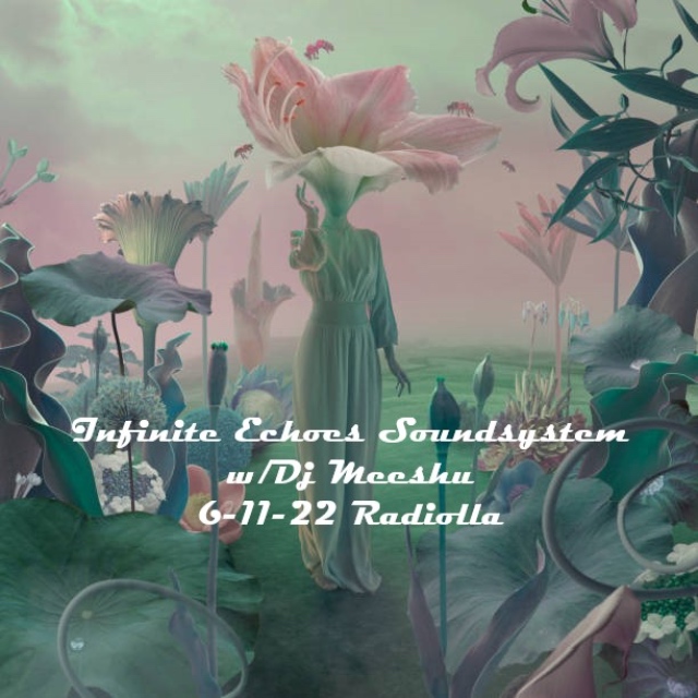 #171 Infinite Echoes Soundsystem 131