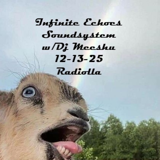 #252 Infinite Echoes Soundsystem 211